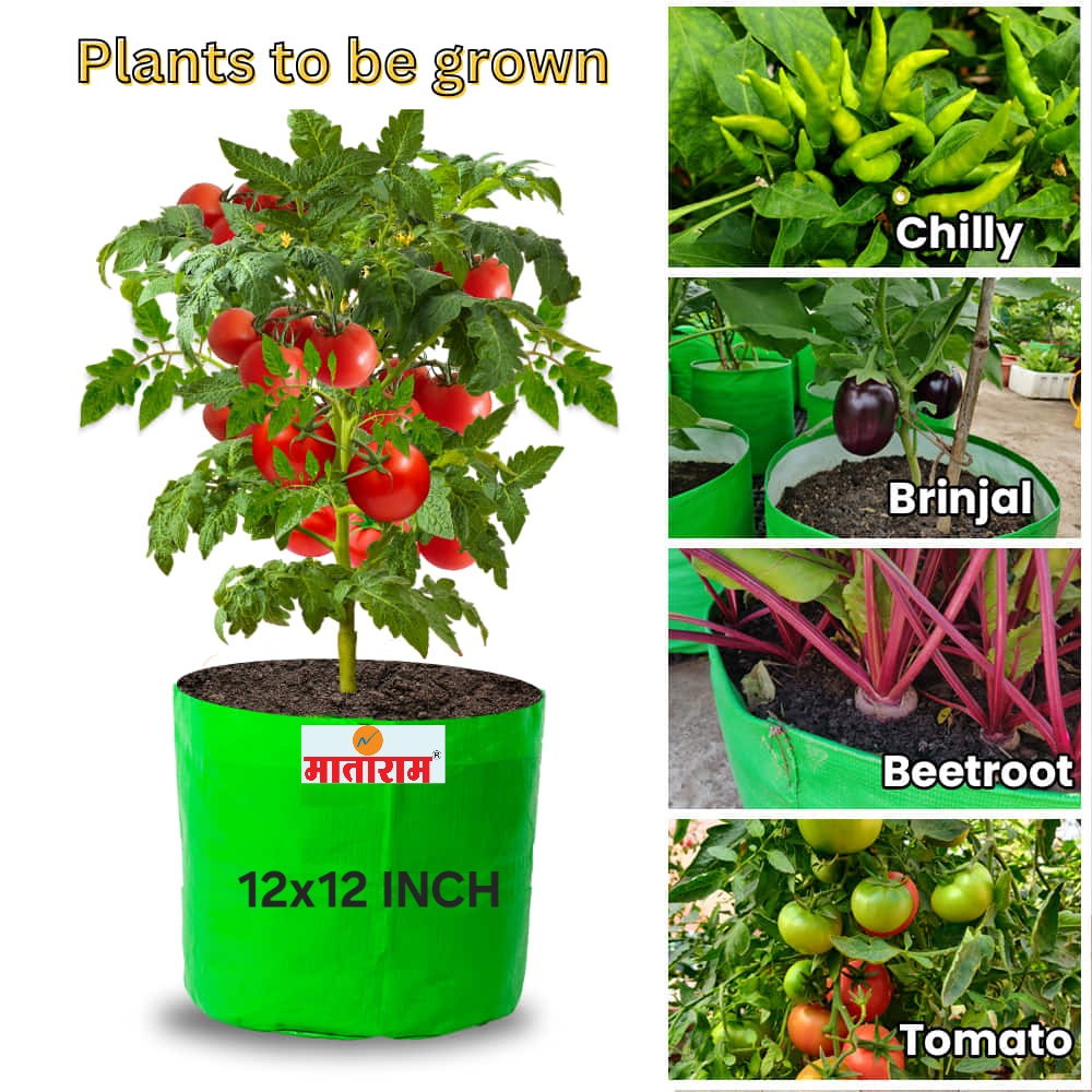 10x10_grow_bags_growing_plants_plants_to_be_grown_d8070719-882c-4163-b1fa-60d4db7843cf